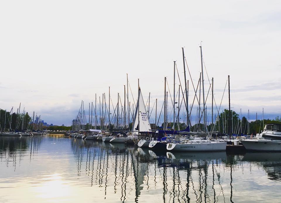 13680577_10101438106950661_4841076063366819998_n