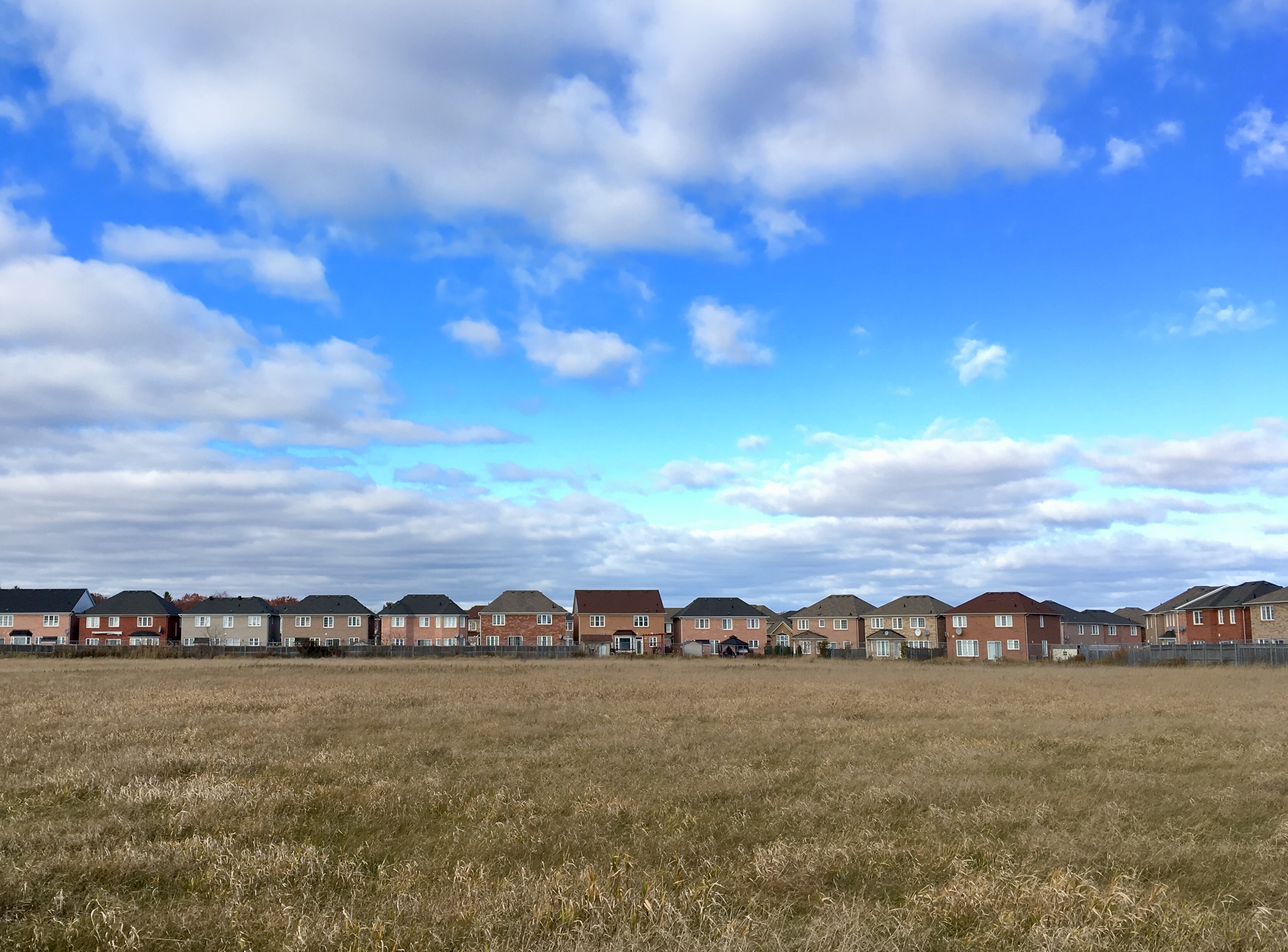 photo-2016-11-11-2-13-20-pm