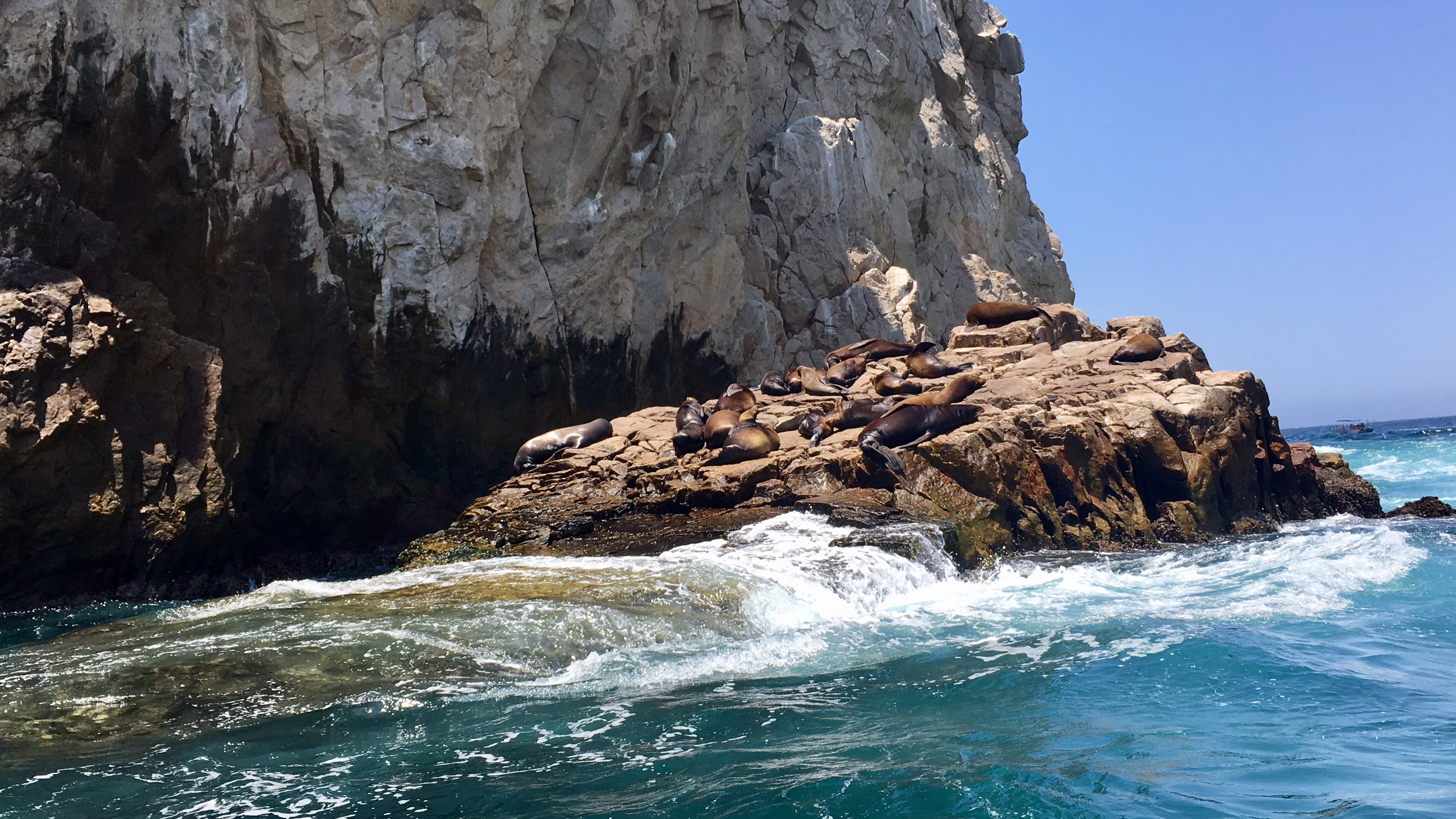 Photo 2017-06-12, 2 50 00 PM