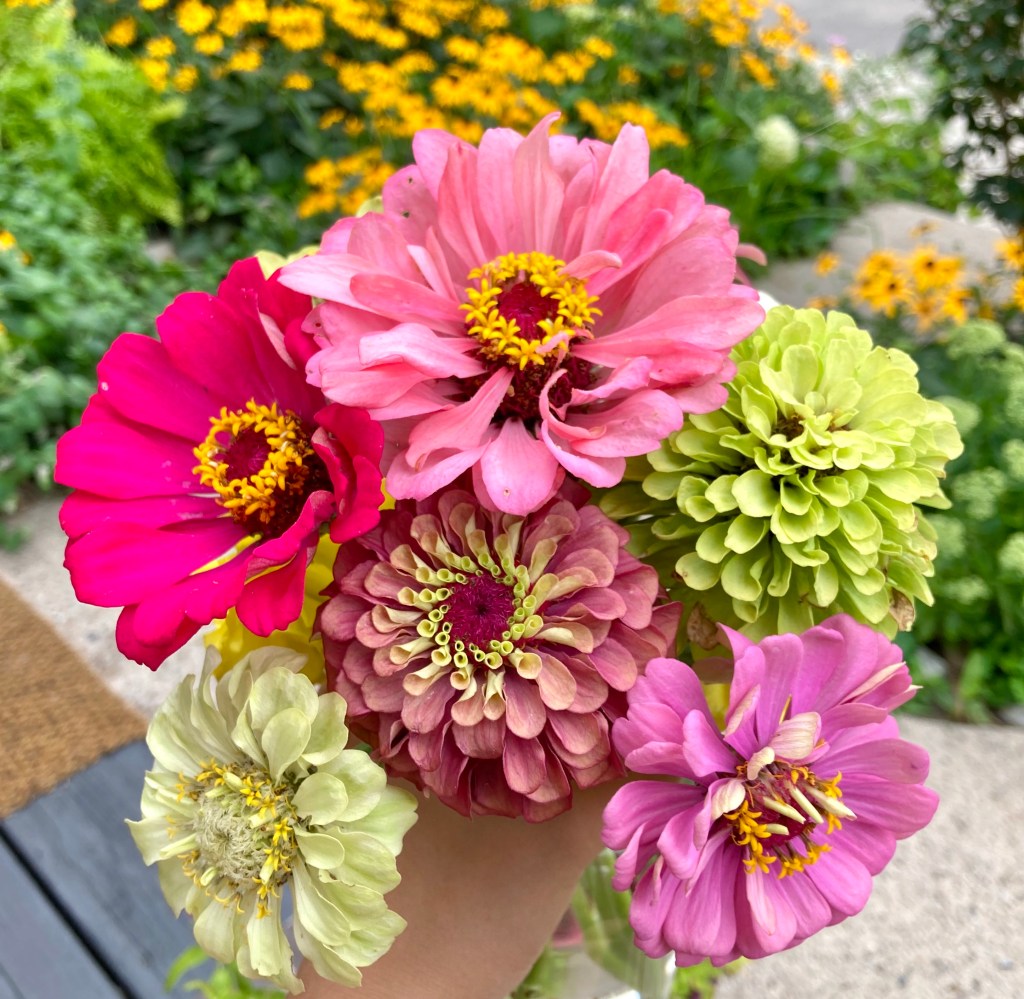 How to Start a Garden